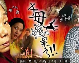 官方正版影视网站推荐